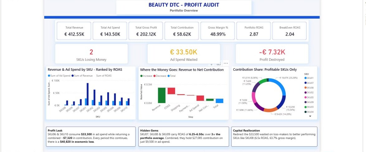 Beauty DTC profit audit dashboard, portfolio overview page